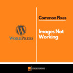 How to Fix WordPress Images Not Showing on Your Website