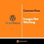 How to Fix WordPress Images Not Showing on Your Website